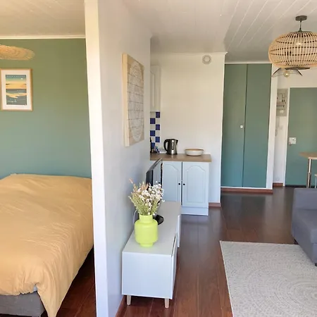 Apartment T2 Acces Direct - Parking - Clim - Balcon & Jardin - Velos - Centre Arcachon